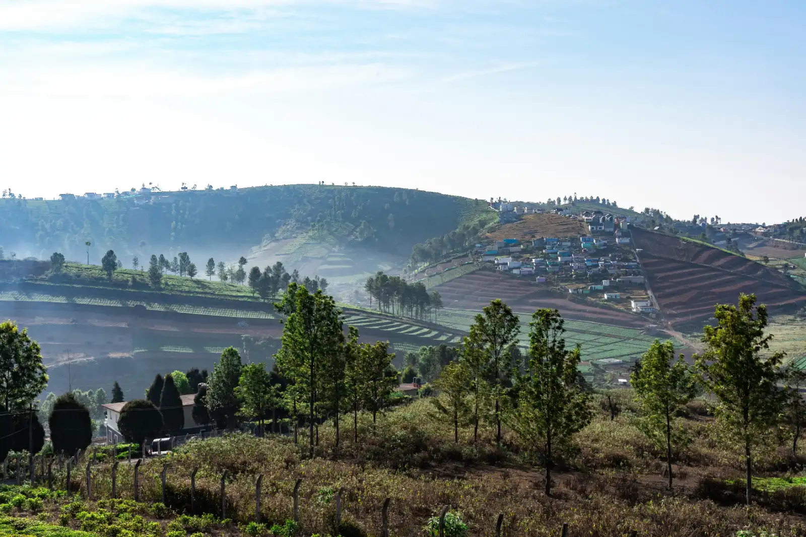 Ooty